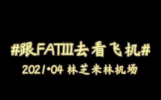 【FATIII】飞行 | 跟FATIII去看飞机 林芝米林机场哔哩哔哩bilibili