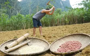 下载视频: EP93 补发 荒野求生 如果不知道如何种植食物，不妨看看这个方法