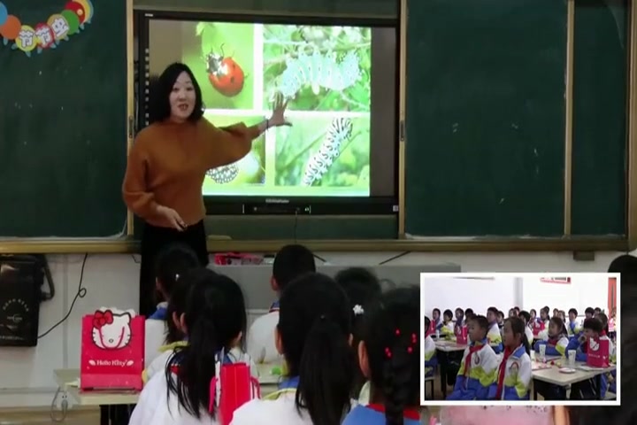 人美版小学美术二下《第6课 节节虫》刘老师优质课公开课教学视频哔哩哔哩bilibili