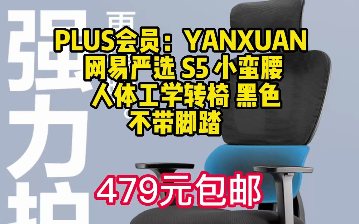网易严选小蛮腰人体工学转椅双背 办公椅电脑椅电竞椅午休可躺椅子 推荐 【S5新款推荐】黑色 不带脚踏 23033162哔哩哔哩bilibili