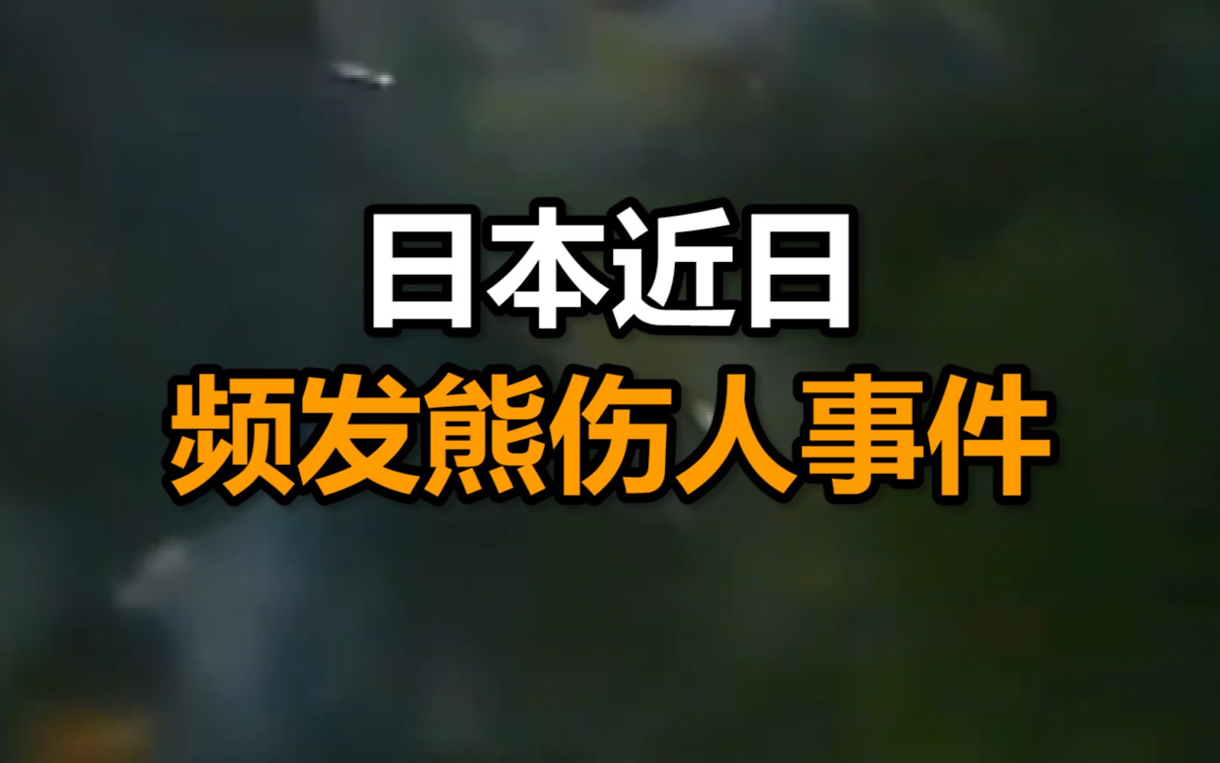 日本近日频发熊伤人事件这次熊进了商场