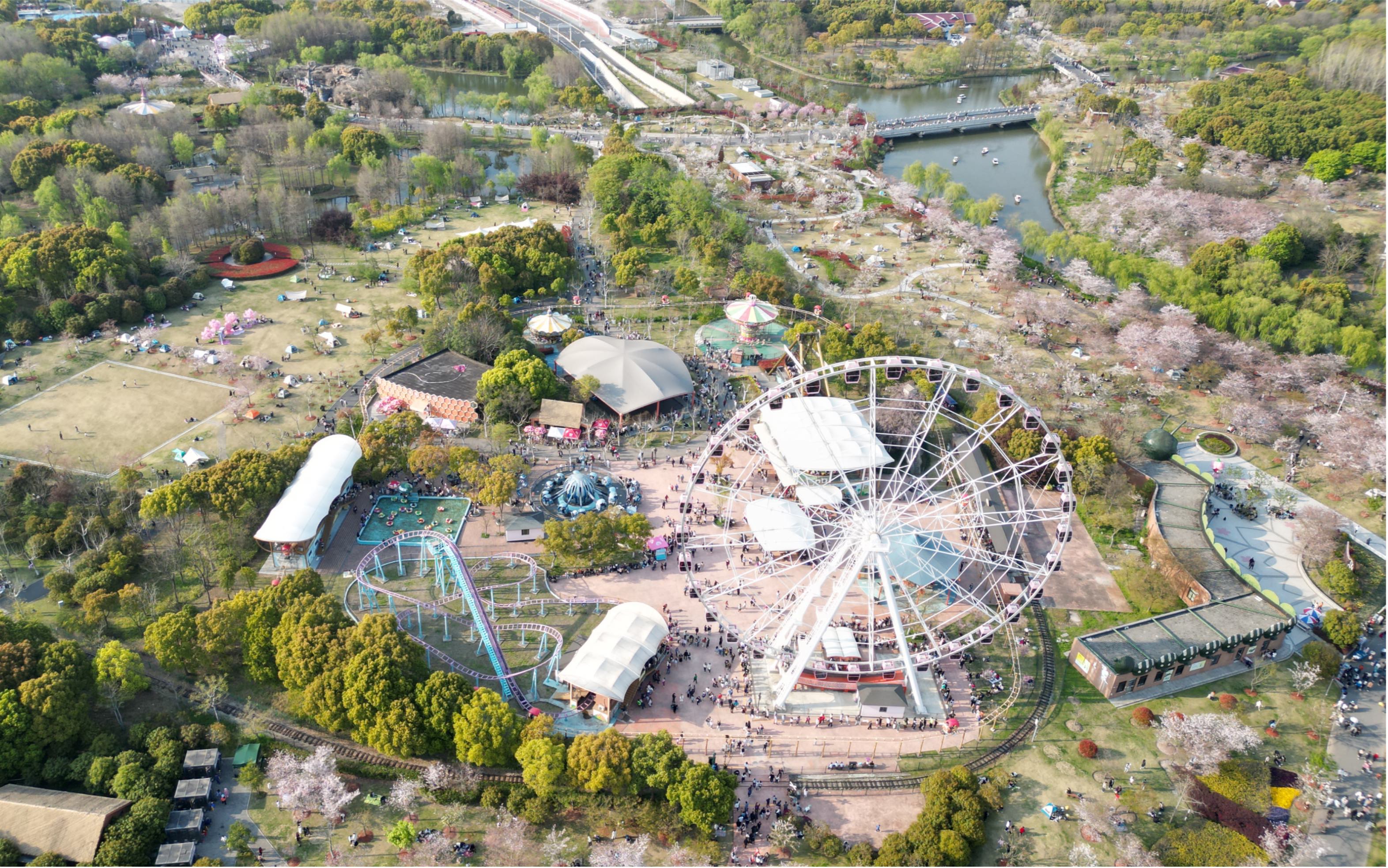 顾村公园-2023春天