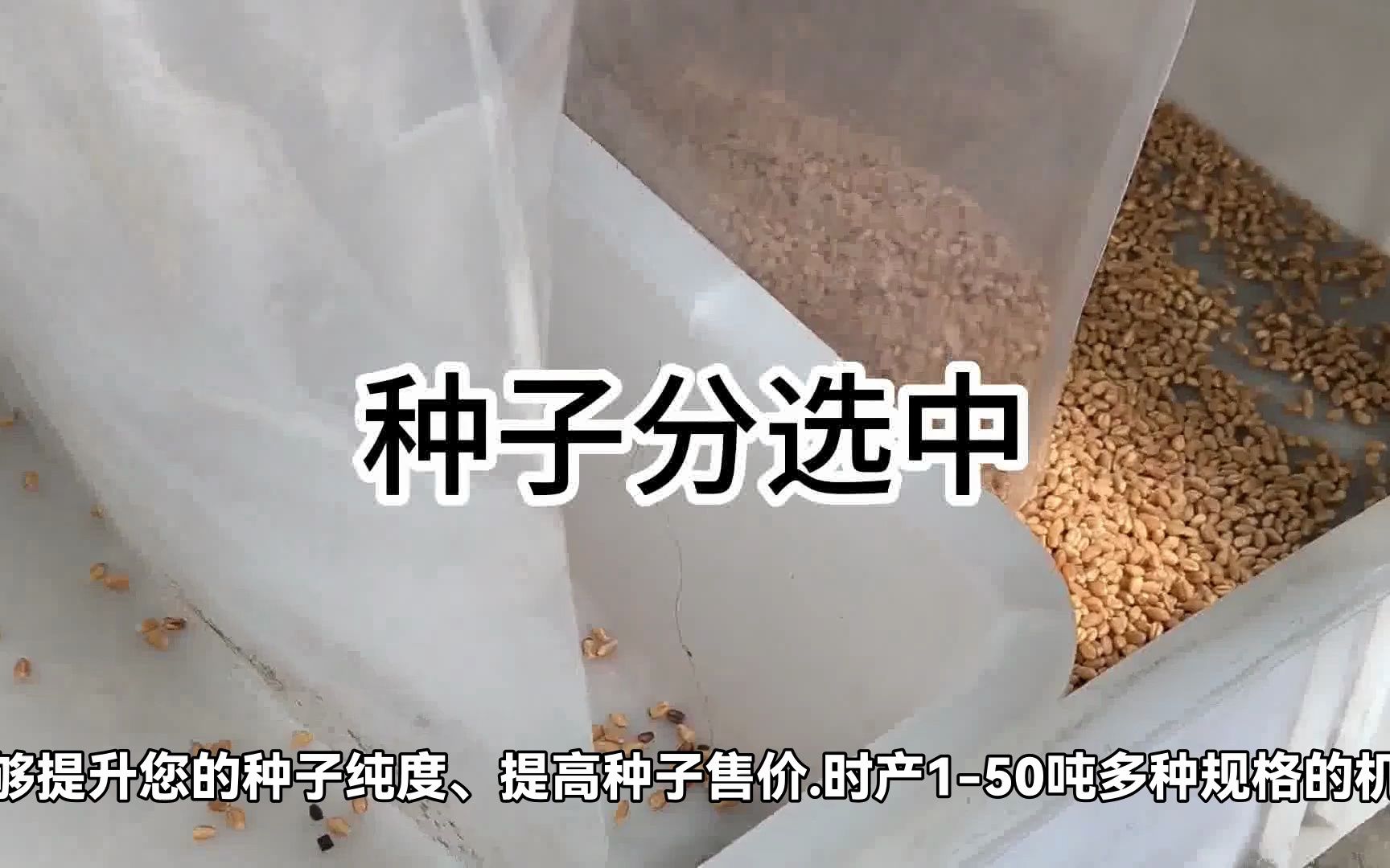 龙舌兰种子分选精选机大概多少钱一台