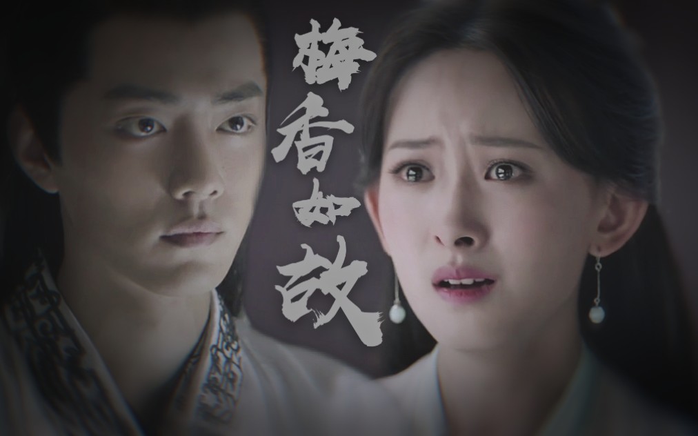 言冰云沈姑娘梅香如故茫茫岁月分不清何处是归期