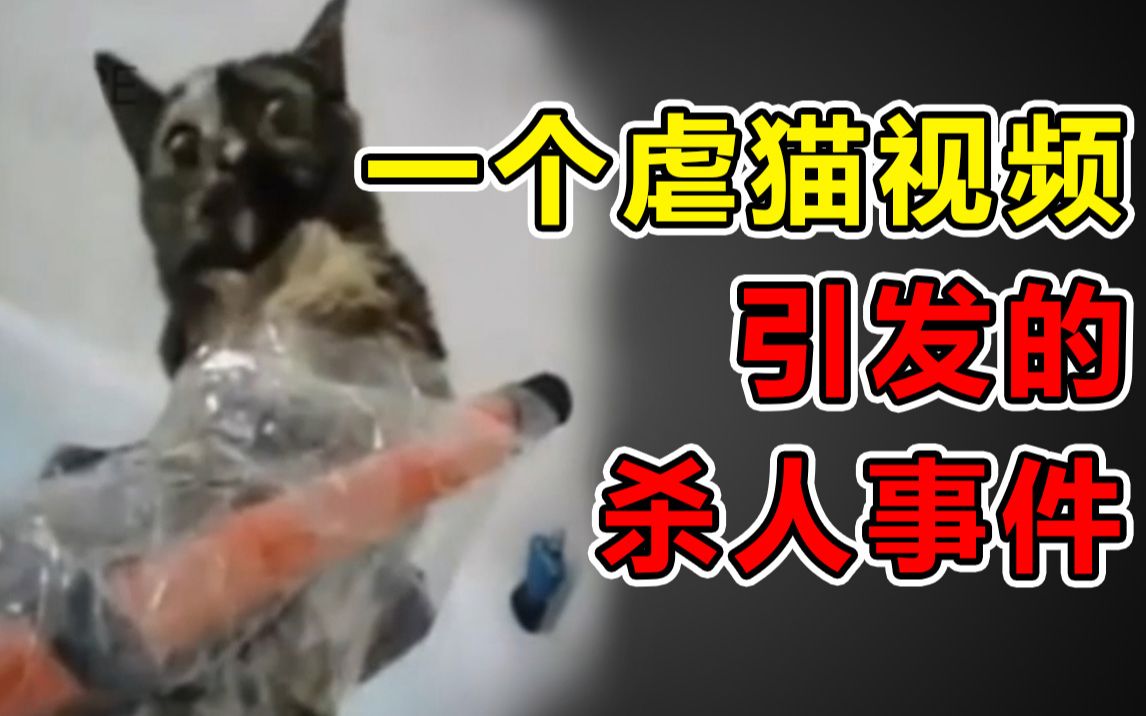 [图]【真实事件】通过一个虐猫视频，他们揪出了一个杀人犯