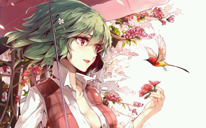 大家的幻想乡太阳花田n难度攻略刷及过