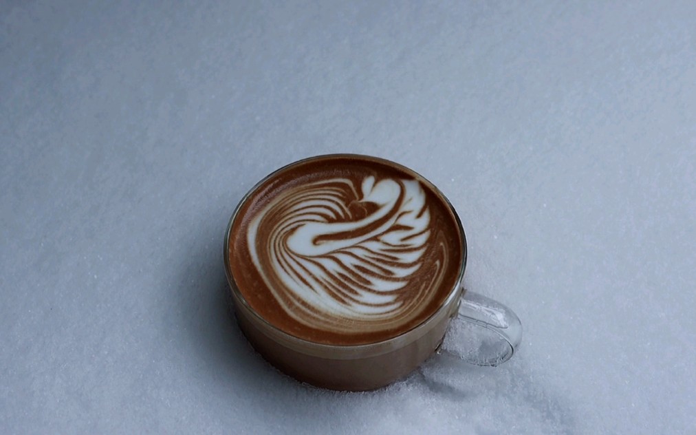 咖啡拉花天鹅图案图片