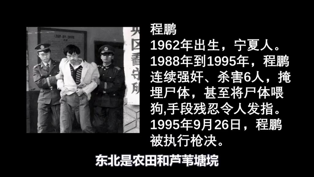 剔人肉喂狗杀害6人碎尸连续强奸杀人变态恶魔程鹏案