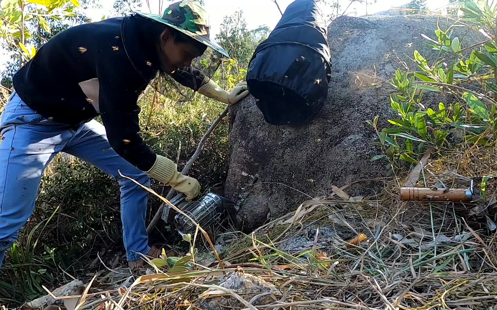 石缝太深怎样收捕野生蜜蜂,小伙教你一招让蜂王带着小蜜蜂跑出来哔哩哔哩bilibili