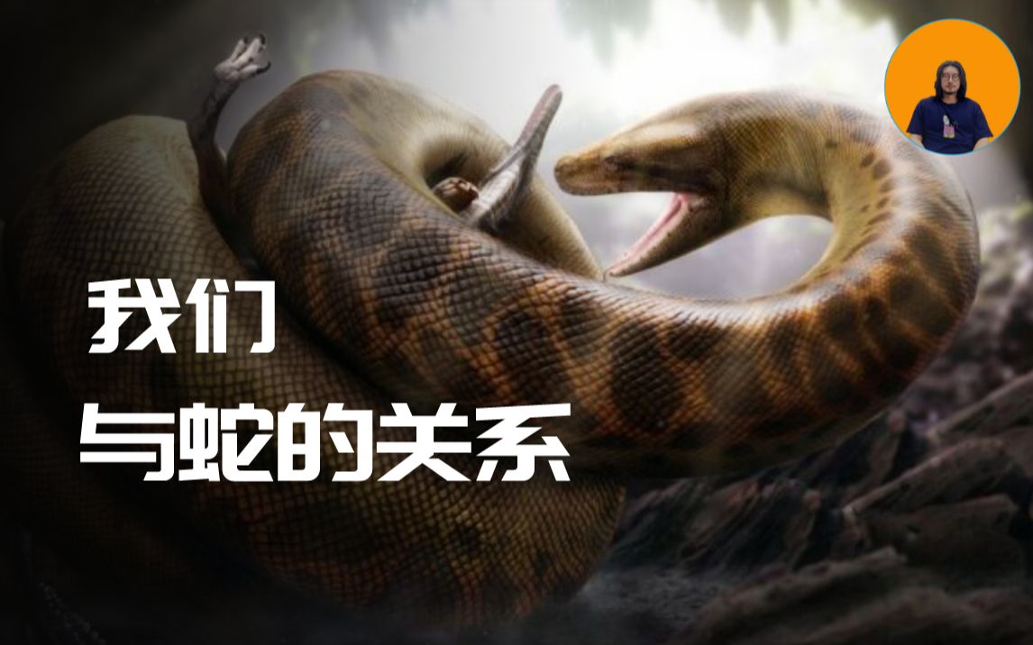 蛇的祖先是什么进化史图片