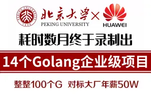 Download Video: 【35K上岸华为开发岗】练完14个Golang云原生企业级项目实战/golang教程 | 提供源码和学习视频