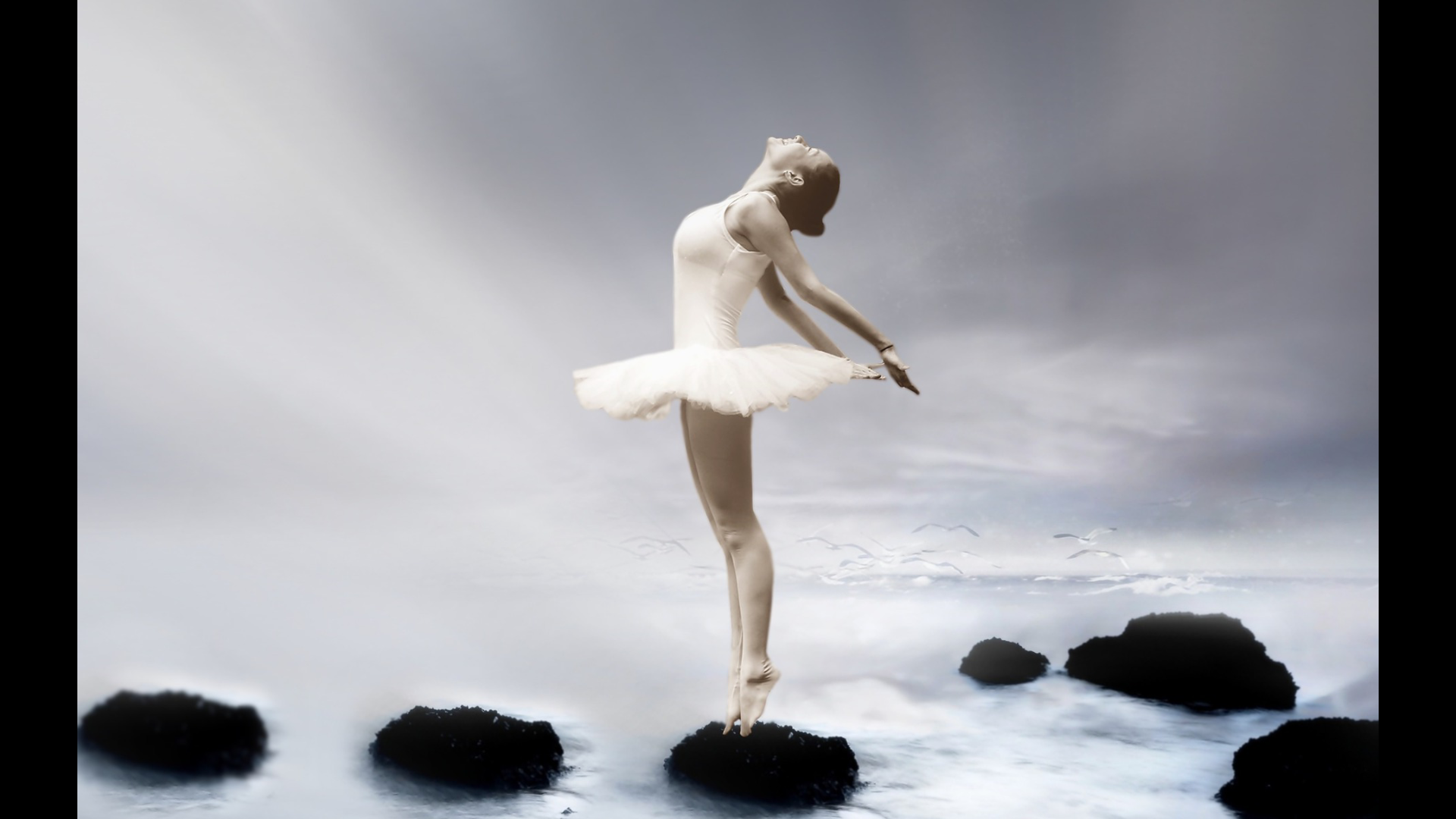 舞蹈2_哔哩哔哩 (゜-゜)つロ 干杯~-bilibili