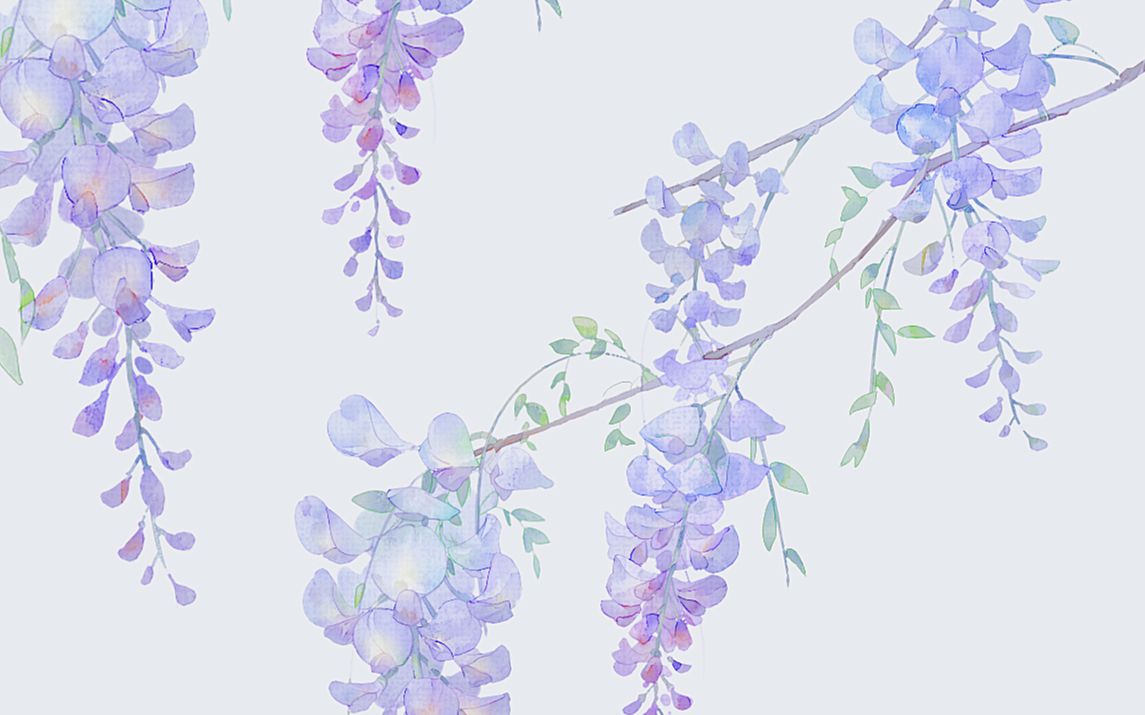 【板绘】紫藤花详细讲解流程,再看不懂就是猪猪惹