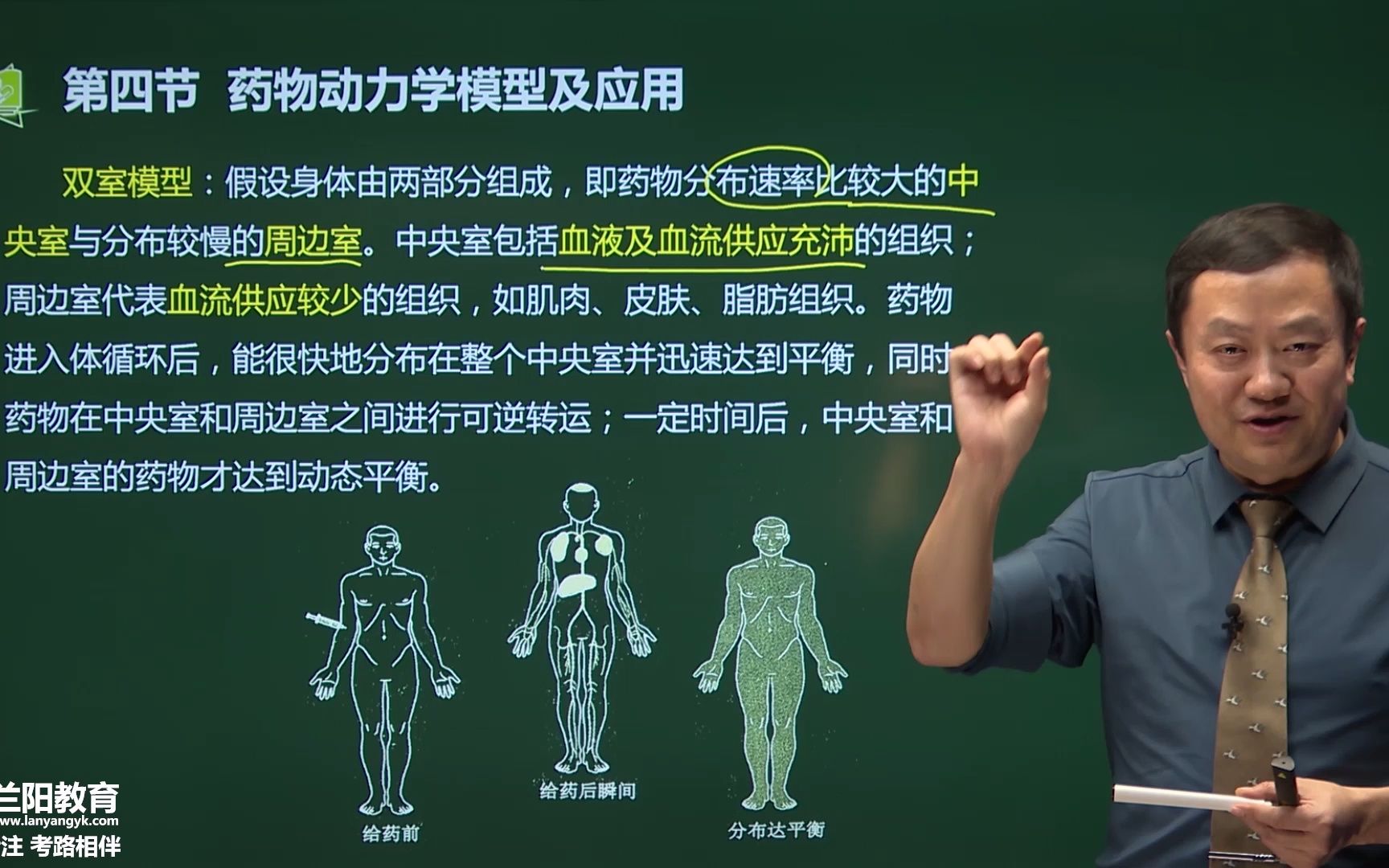 59第七章第四节药物动力学模型及应用哔哩哔哩bilibili