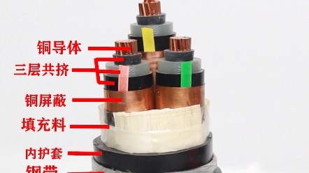 电缆里面的内部结构是怎样的#安全用电你我湘联#电工#国标哔哩哔哩bilibili