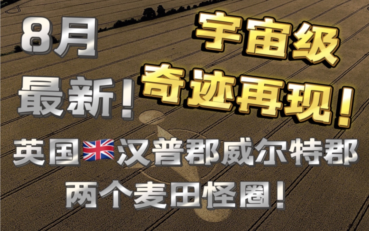 英国两大新麦田怪圈!