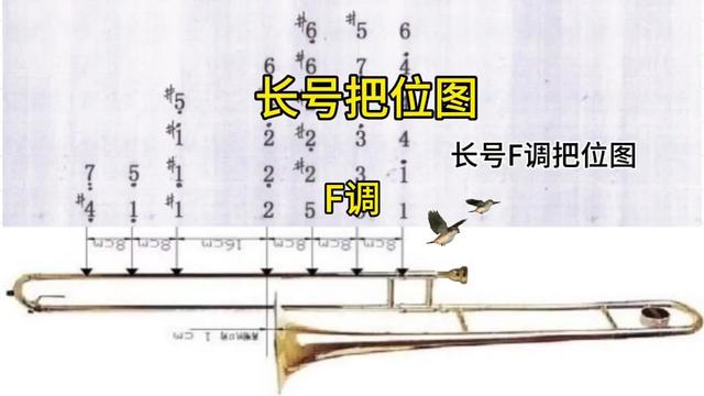 长号(拉管)f调把位图#初学(入门)#铜管乐器#音乐分享