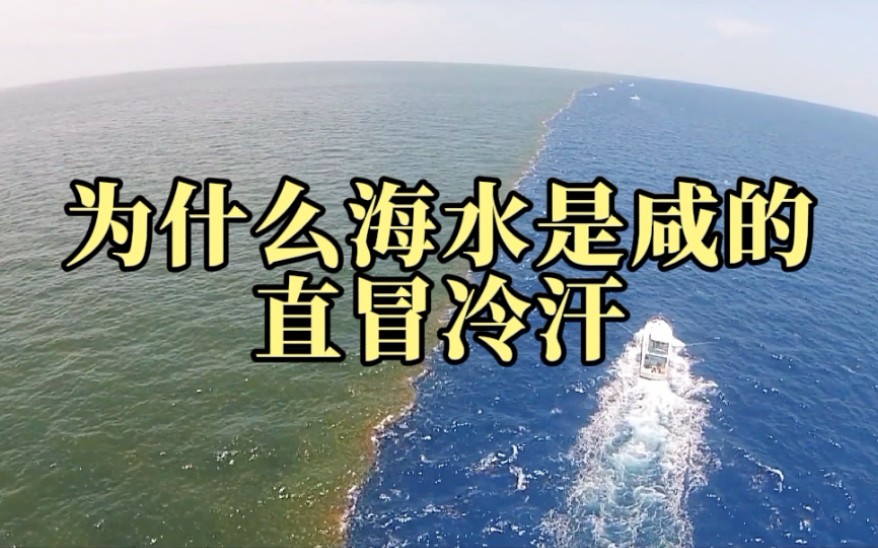 [图]为什么地球的海水是咸的，淡水却是甜的呢？看得我直冒冷汗！