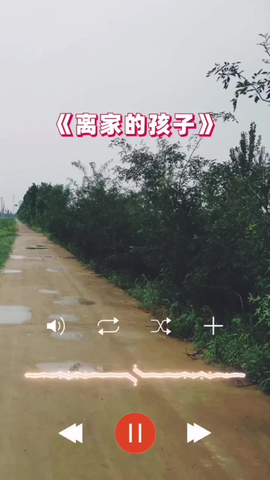 离家的孩子经典老歌百听不厌抖音小助手离家的孩子dou小助手