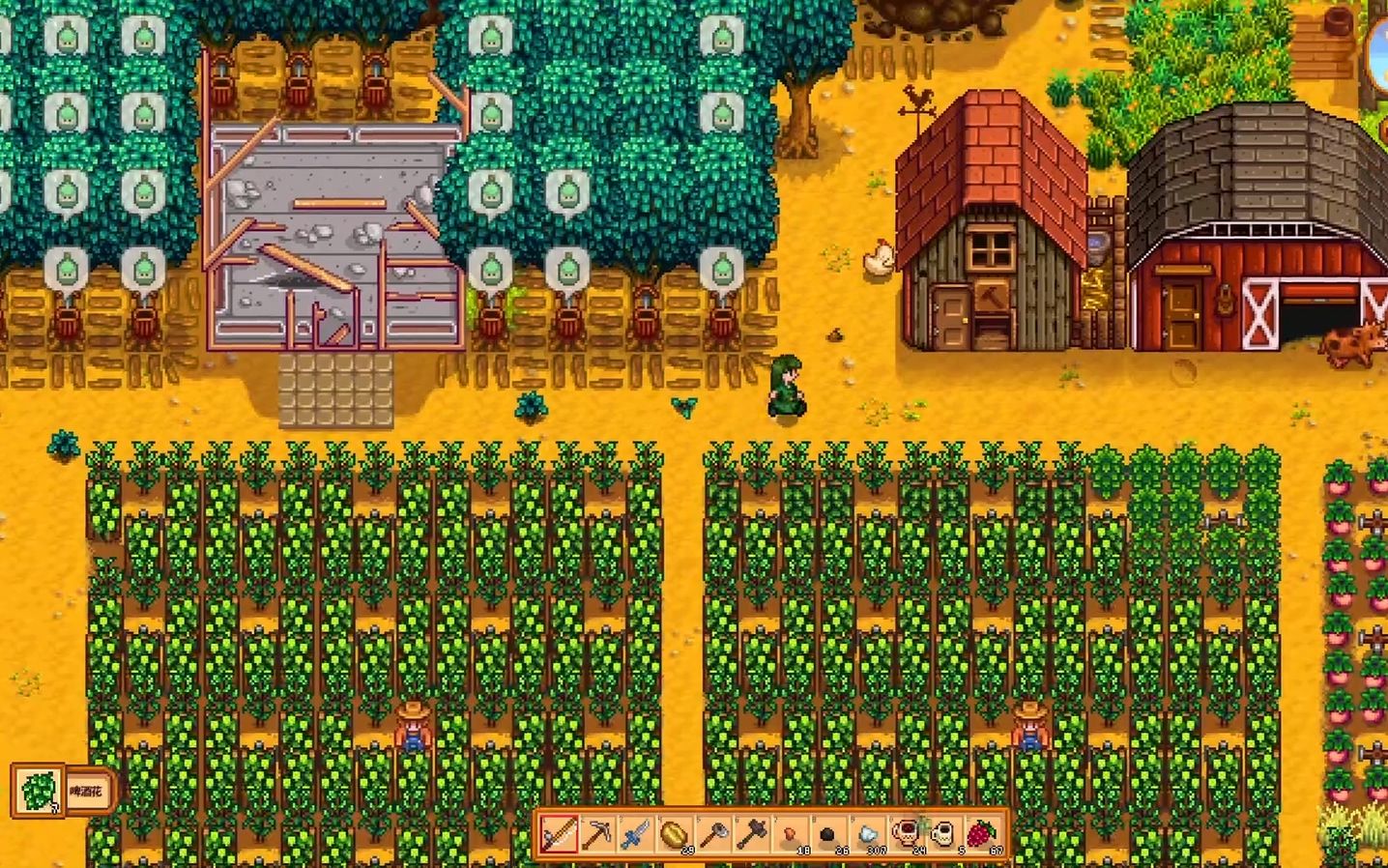 【星露谷物语 25%利率】夏23-24 种400个啤酒花开始酿酒