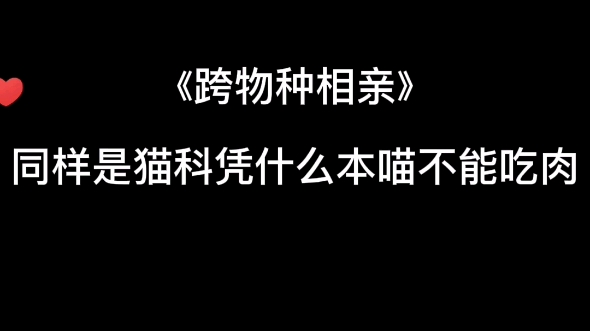 [跨物种相亲]老子要吃肉哔哩哔哩bilibili