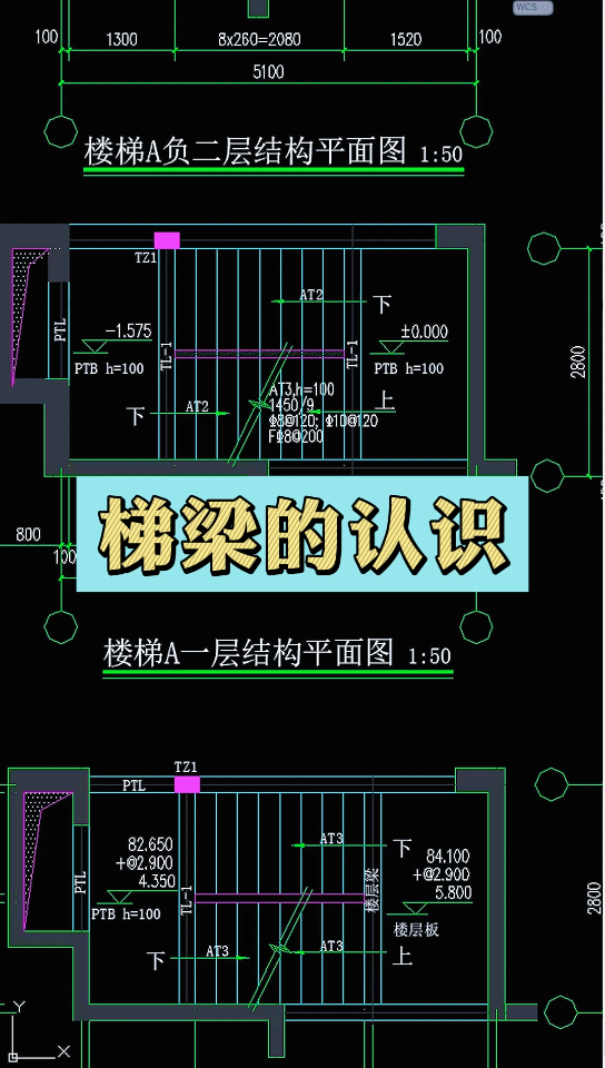 梯梁的认识哔哩哔哩bilibili