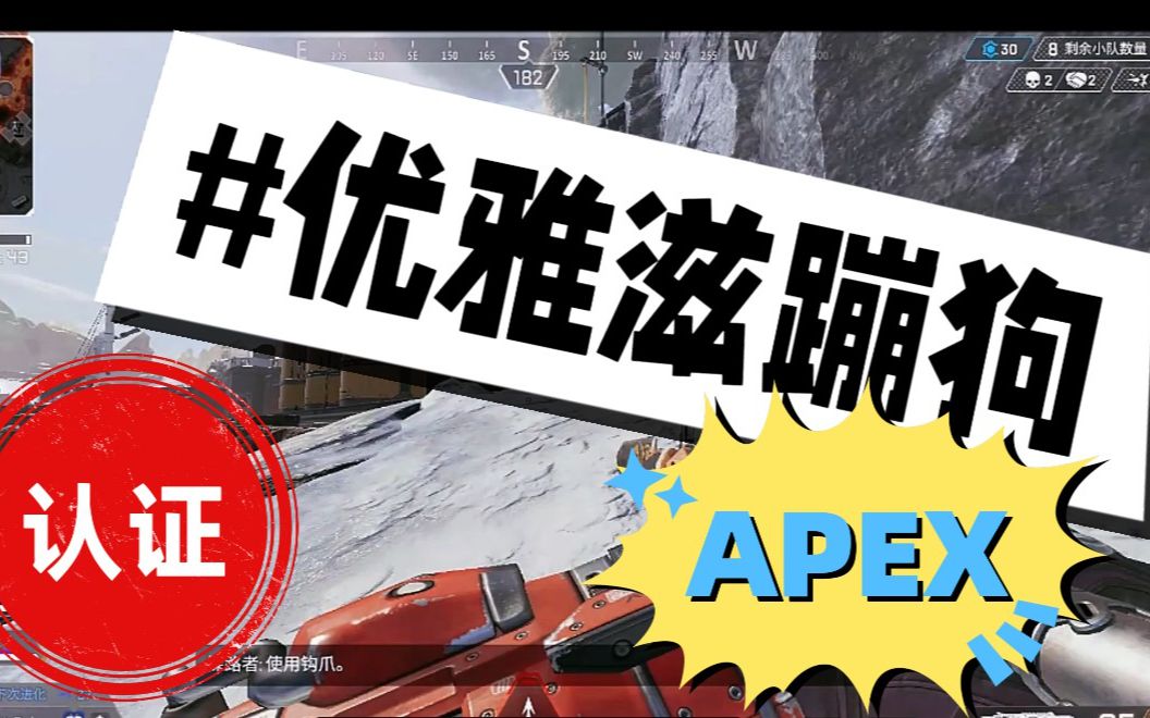 [图]【Apex】原创说唱《优雅滋蹦狗》欢迎加入滋蹦大家庭！摇摆起来！