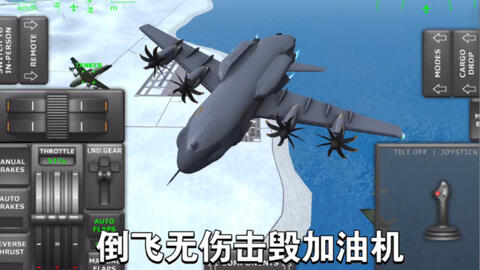 Tfs 特技飞行 低空通场 倒飞炫技 乱穿桥底 累计播放4000达成庆祝 哔哩哔哩