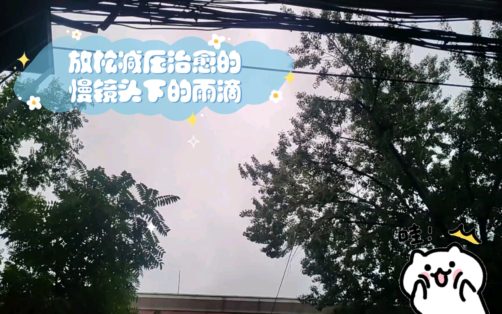 [图]放松减压治愈的慢镜头下的雨滴