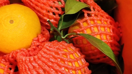 哈尔滨每日新鲜水果市场