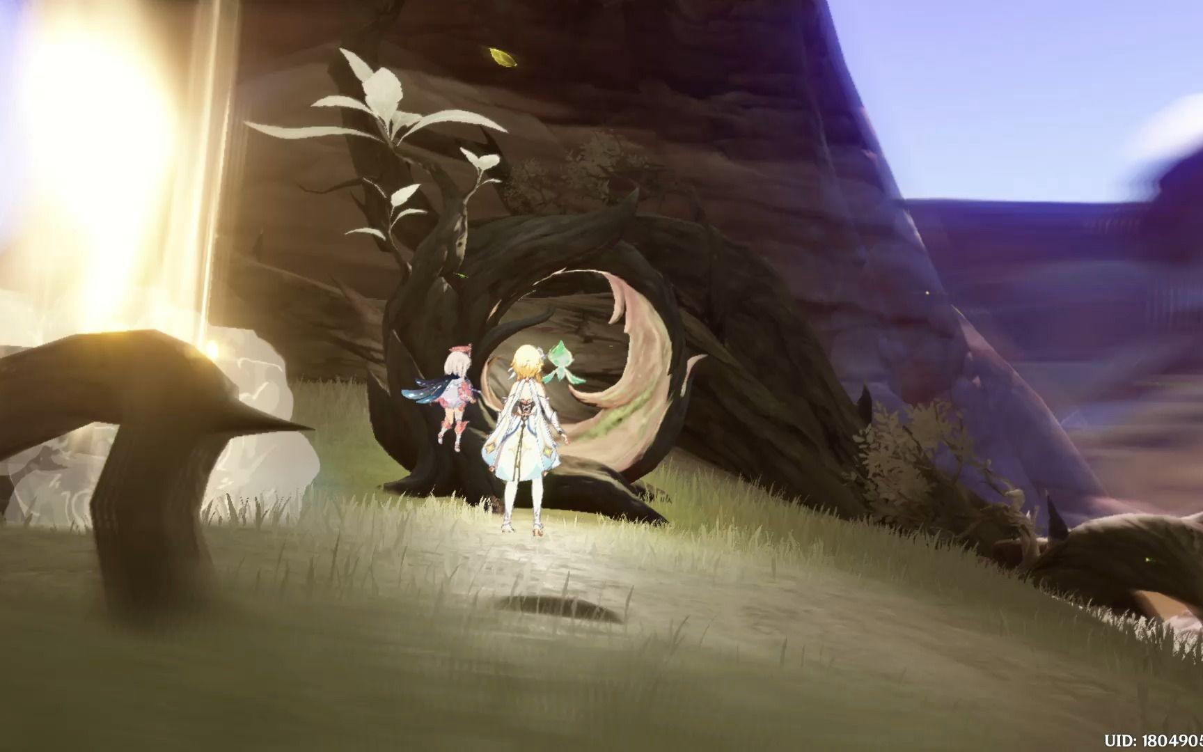 【原神】世界任务:微暗之火 (甘露池满级收集) ii