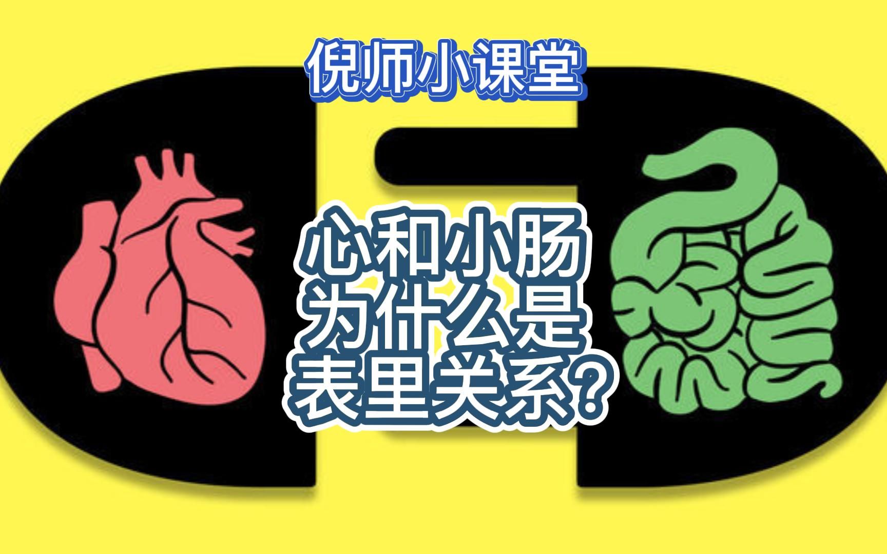 ep28 心和小肠为什么是表里关系