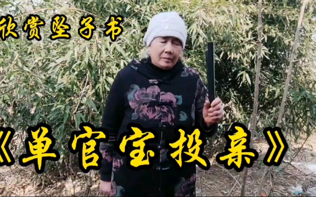 欣赏坠子书原唱胡中花《单官宝投亲》天天更新!哔哩哔哩bilibili