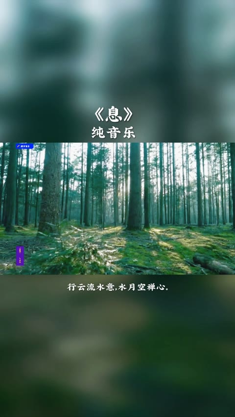 《息》静心禅乐,行云流水意,水月空禅心.哔哩哔哩bilibili