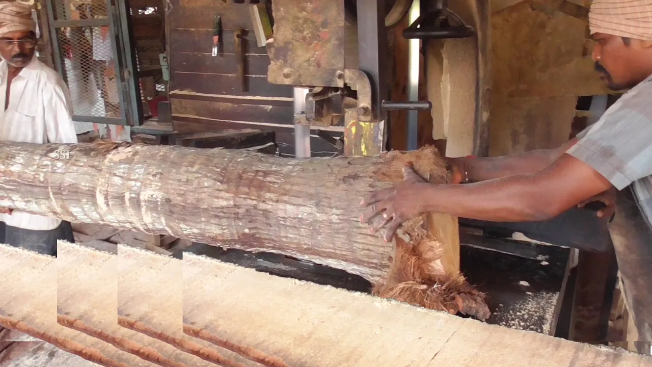 ssi - 令人震惊的锯木厂木材切割视频机器特别好的木件在小规模工业中