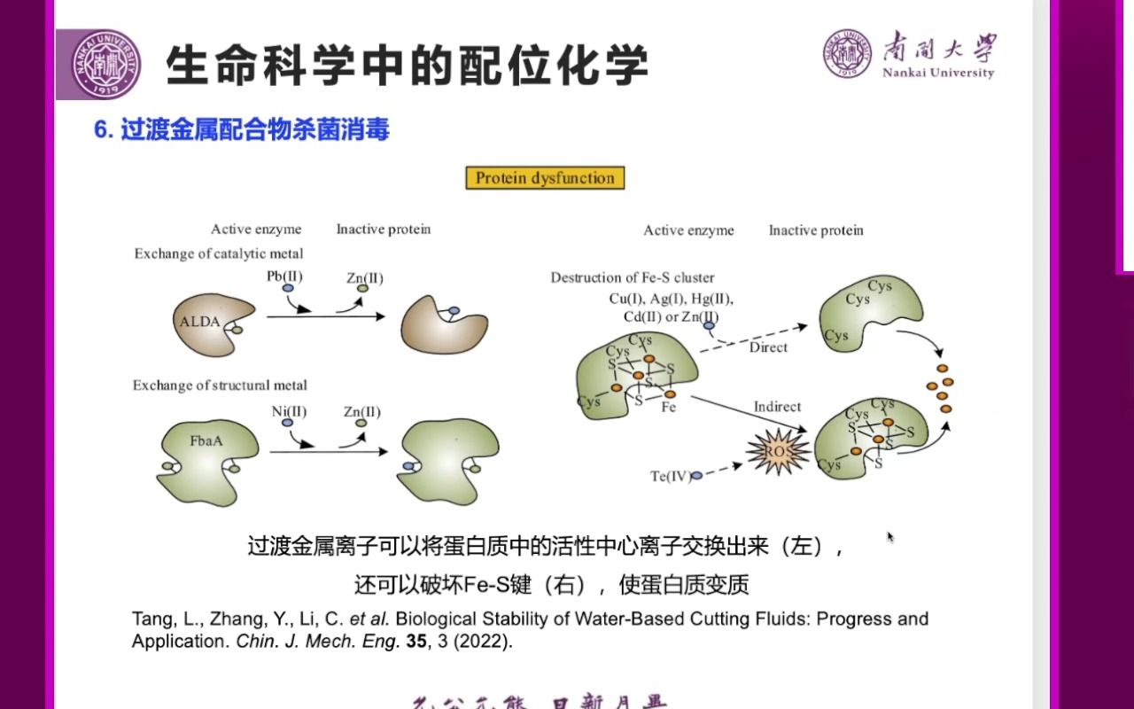 20231110南开大学化学学院师唯无处不在的配位化学哔哩哔哩bilibili