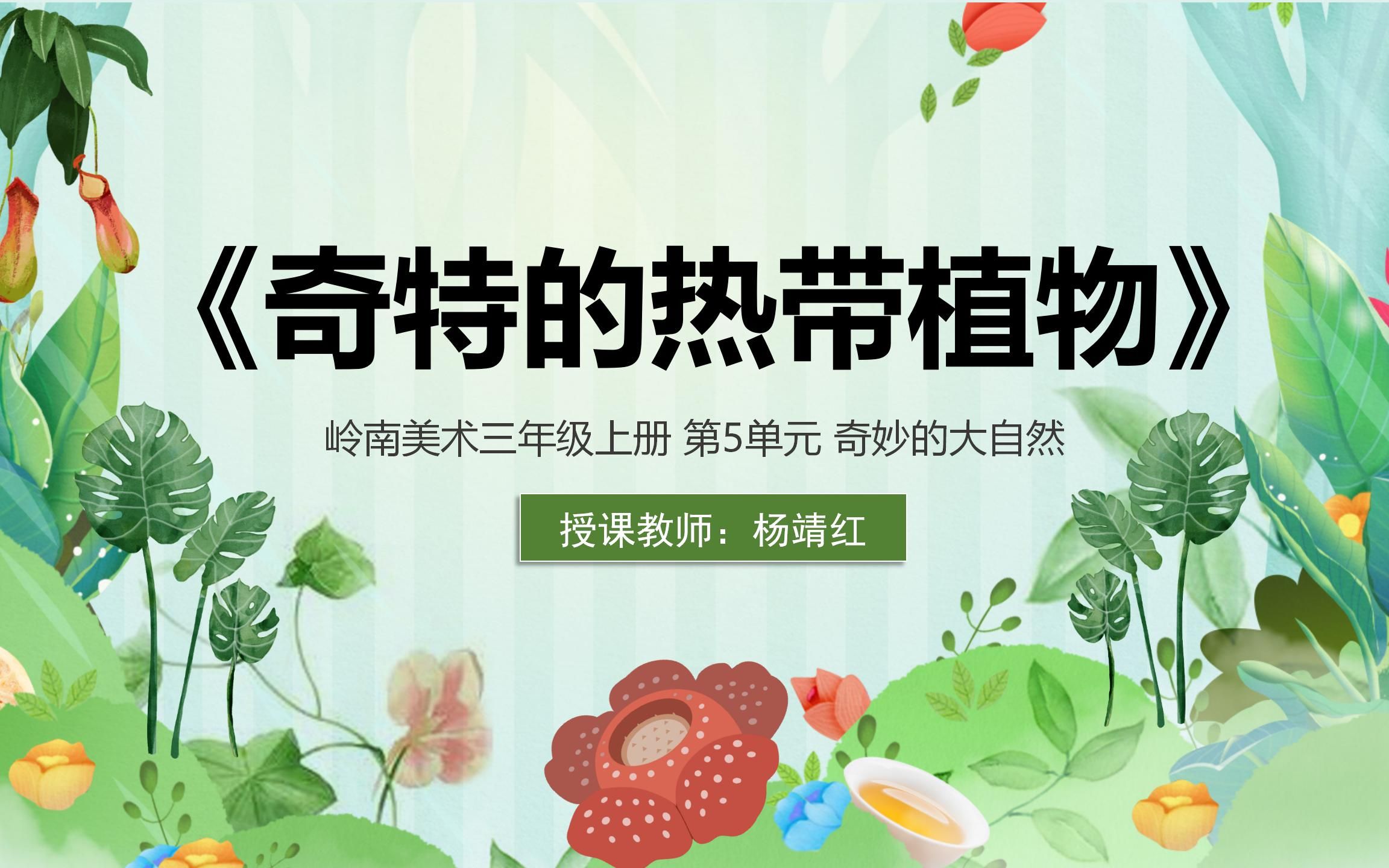 [图]14.《奇特的热带植物》+凤岗镇中心小学+作者：杨靖红、徐丽娜、陈梓欣