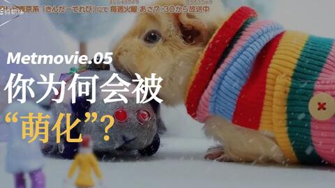 天竺鼠变puipui车 上 看过人都萌到尖叫 哔哩哔哩 Bilibili 天竺鼠变puipui车 上 看过人都萌到尖叫 哔哩哔哩 Bilibili