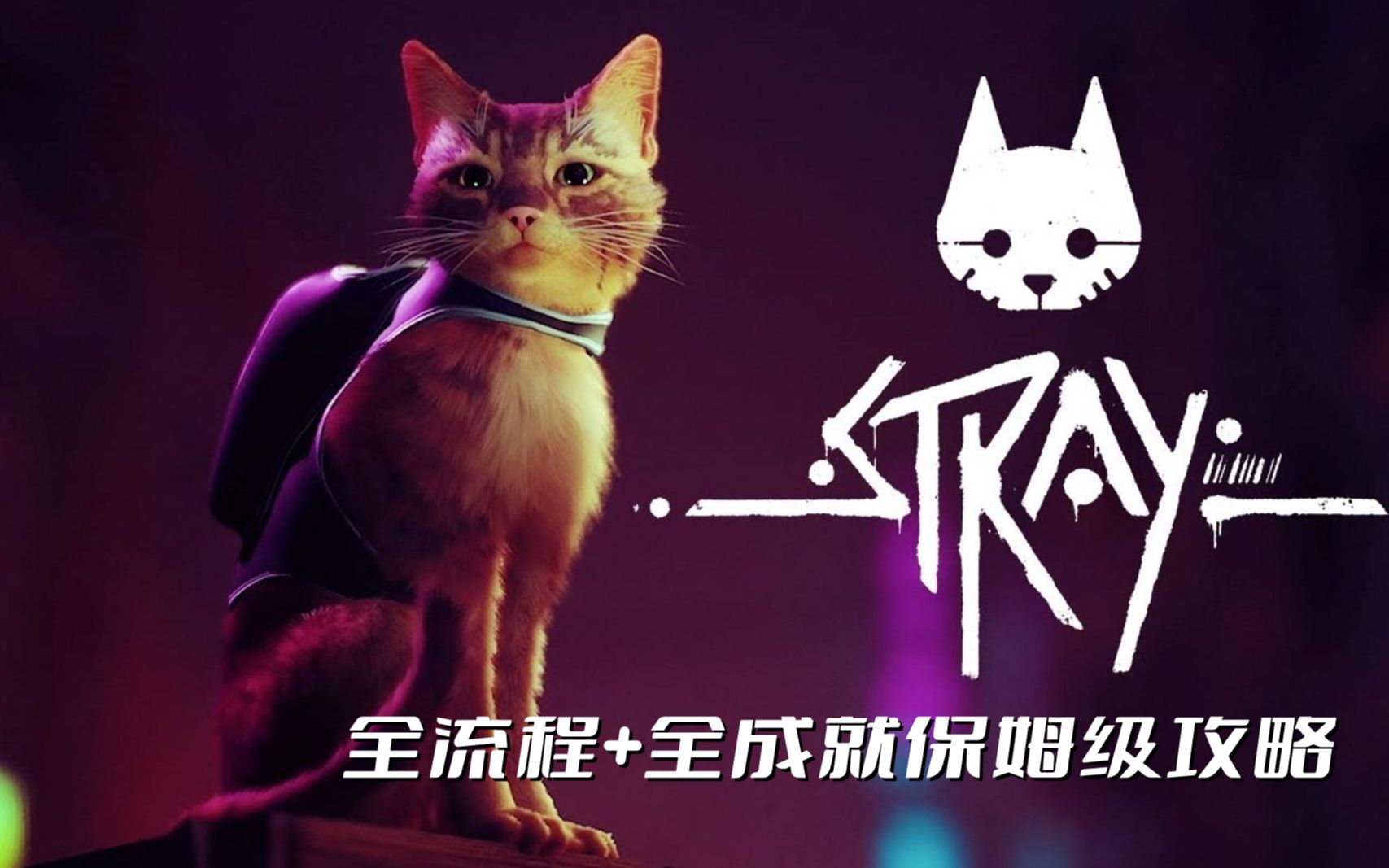 [图]【Stray/迷途猫】全流程+全成就保姆级攻略解说