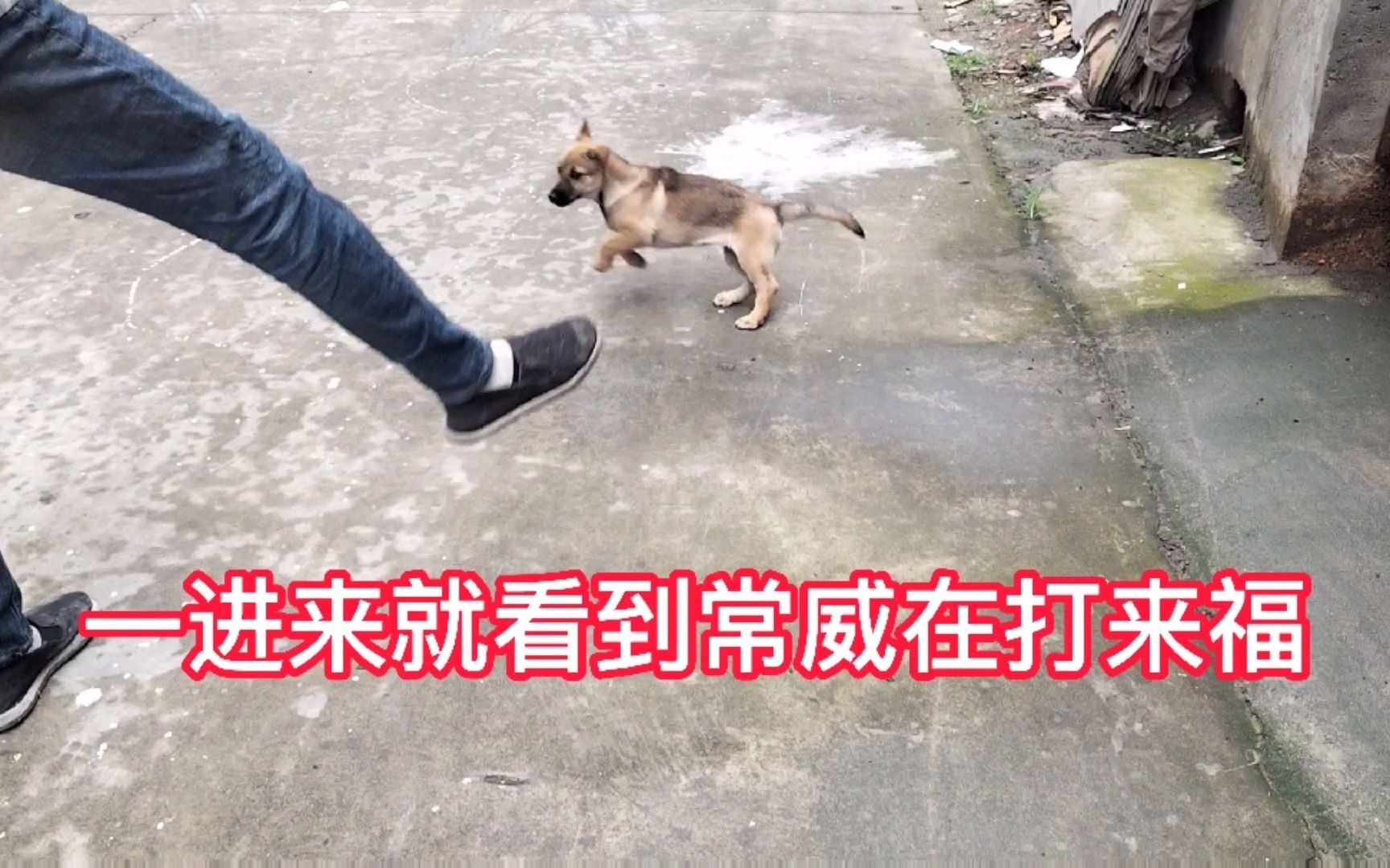活动作品124集一进来就看到常威在打来福