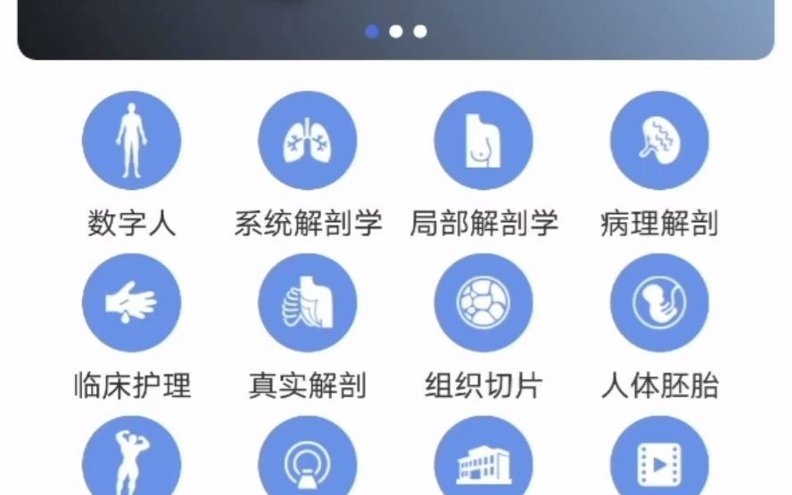 【医维度app】人体断层解剖标本学习哔哩哔哩bilibili