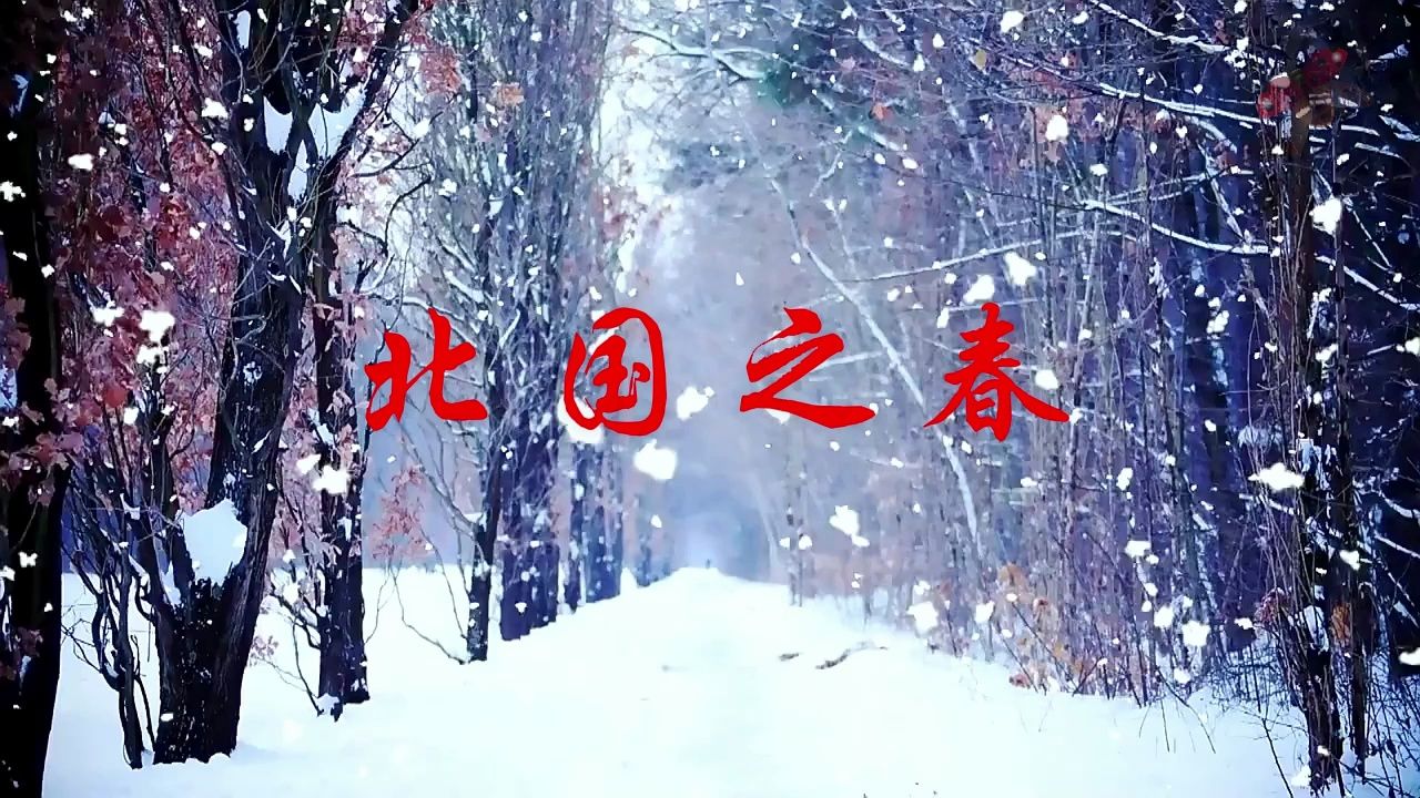 北国之春 歌曲mv春暖花开万物复苏舞台演出节目大屏幕高清led背景视频