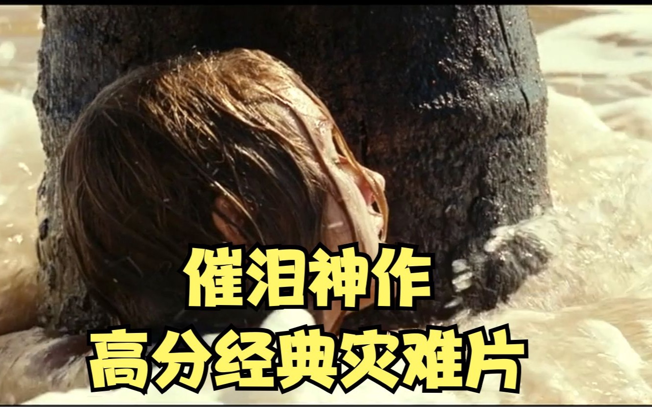 豆瓣高分经典灾难片海啸奇迹一家五口奇迹生还荷兰弟演技炸裂超催泪