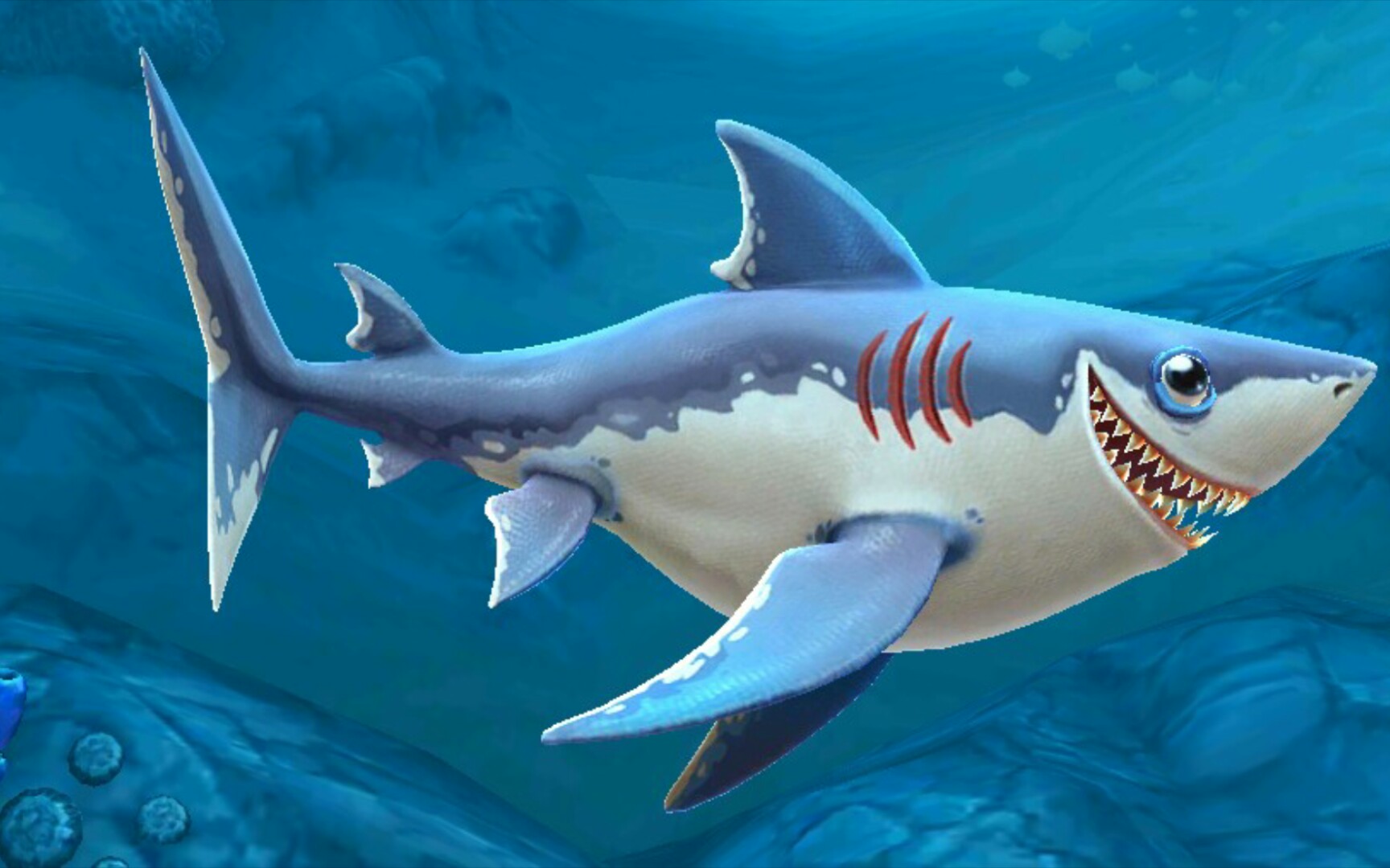 饥饿鲨世界鲨鱼介绍(3)鼠鲨