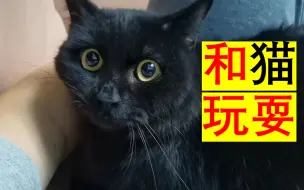 去表妹家和猫玩耍