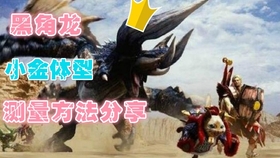 Mhw 尸套龙大金冠数秒法确定大小 哔哩哔哩 つロ干杯 Bilibili