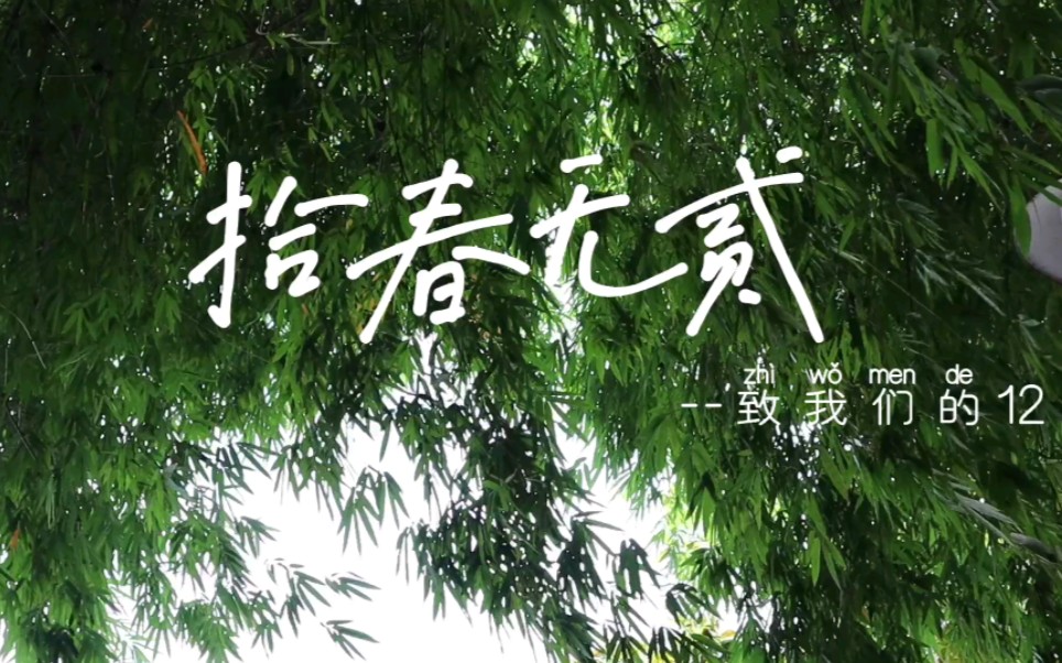 [初中生自制原创班歌MV]《拾春无贰》阳光洒在脸上,歌声再次回响,又留唯美篇章哔哩哔哩bilibili