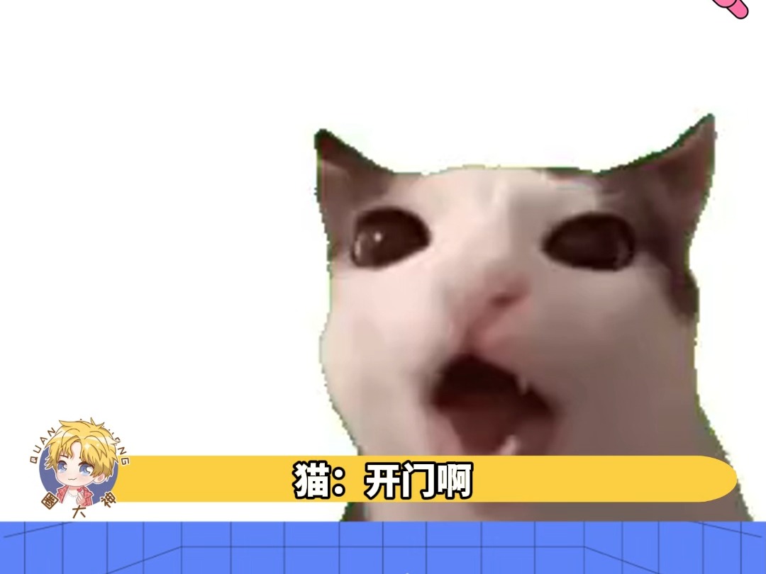 猫:妈,我是孬种,快让我进去!! #搞笑哔哩哔哩bilibili