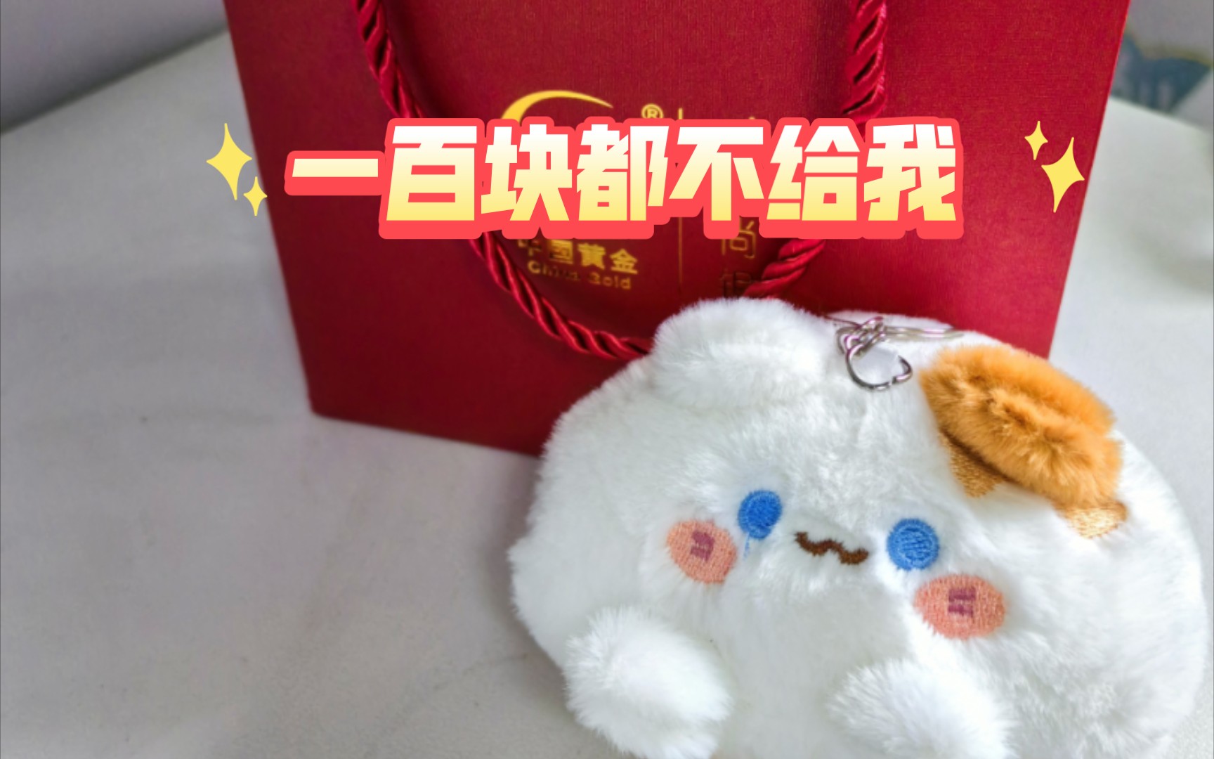 母亲节 想换点激励 一百块都不给我 猫meme版