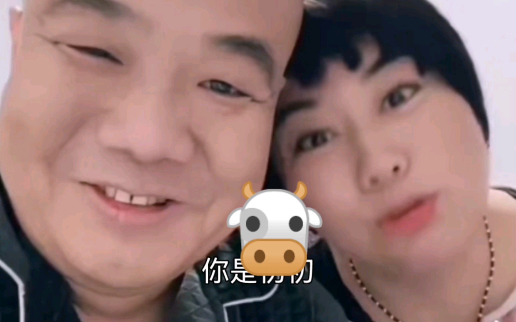 牛奶夫妇再整活,李红直言看上刀哥的****【东北档案馆】_哔哩哔哩